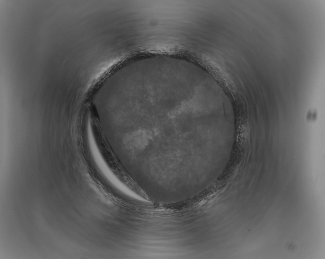 X0000091090688200708201458