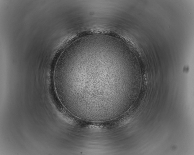 X0000091090690200708201458