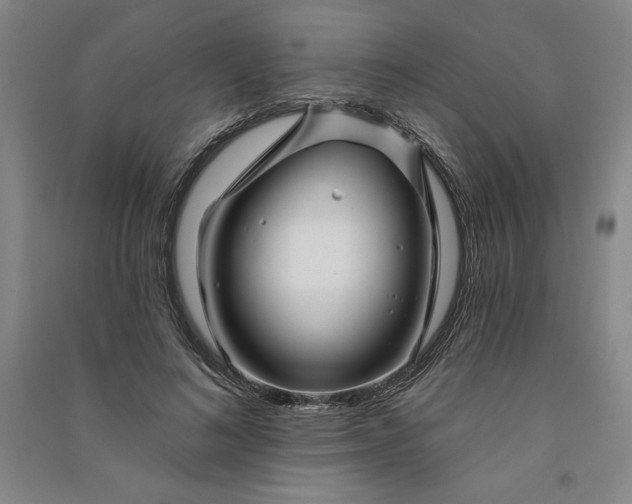 X0000091090692200708201458