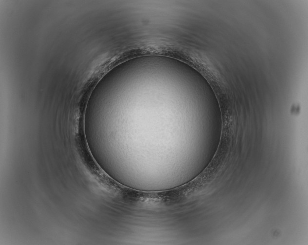 X0000091090694200708201458