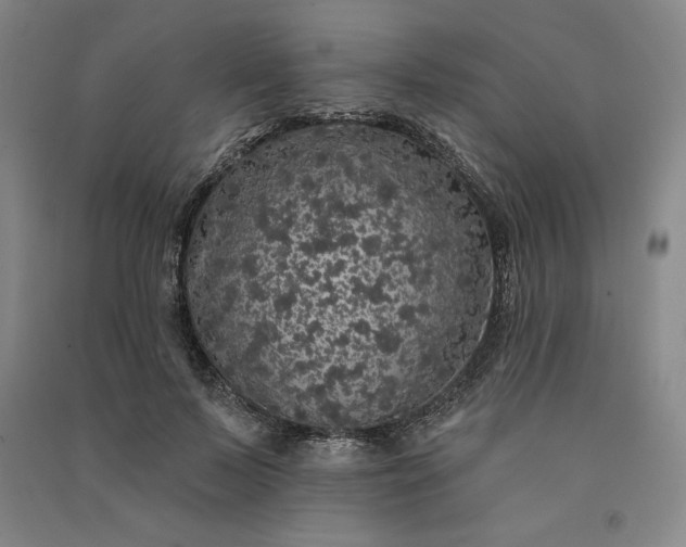 X0000091090695200708201458