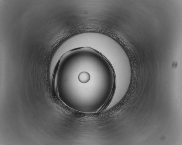 X0000091090696200708201458