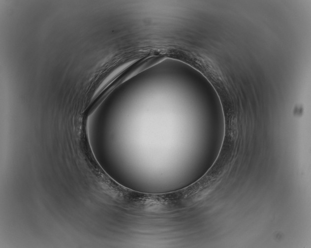 X0000091090697200708201458