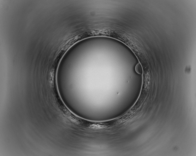 X0000091090699200708201458