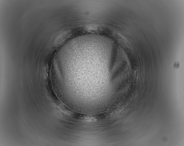 X0000091090702200708201457