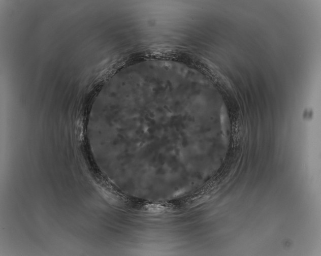 X0000091090703200708201457