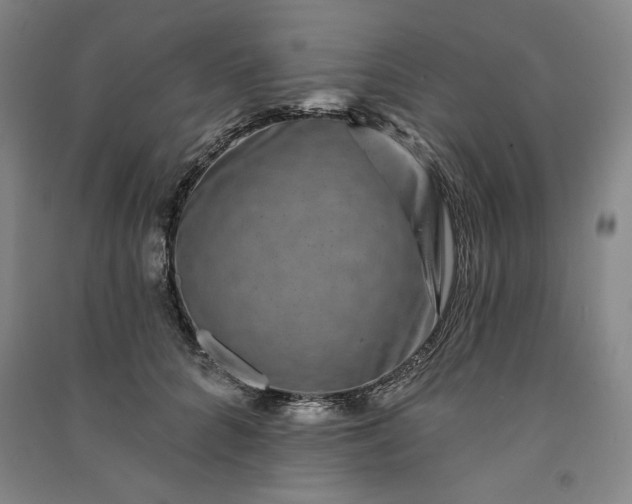 X0000091090704200708201457