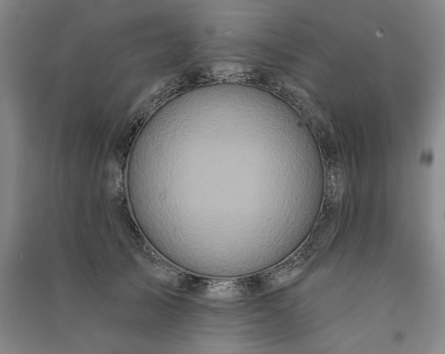 X0000091090705200708201457