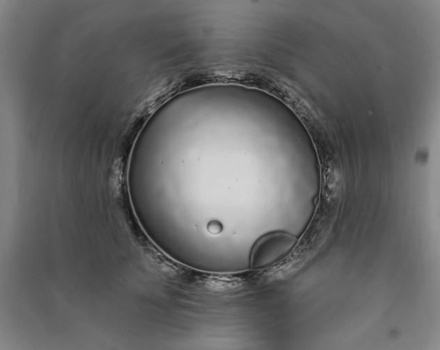 X0000091090707200708201457