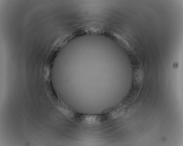 X0000091090709200708201457