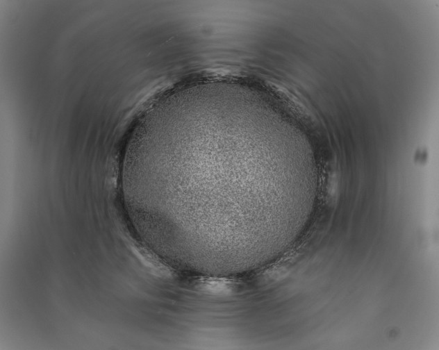 X0000091090710200708201457