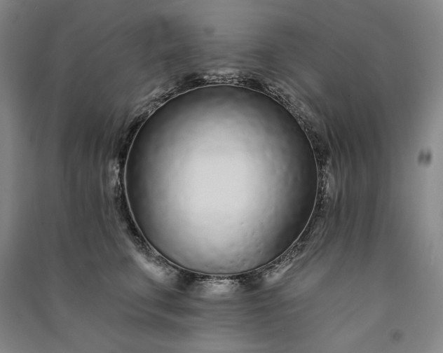 X0000091090711200708201457