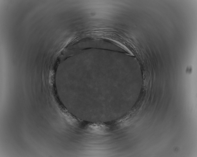 X0000091090712200708201457