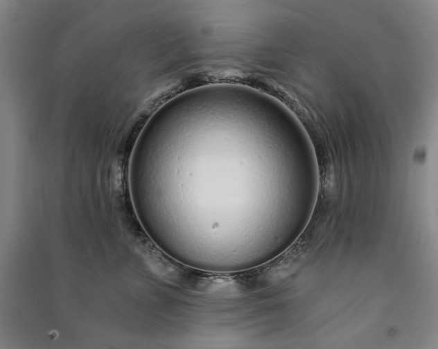 X0000091090715200708201457