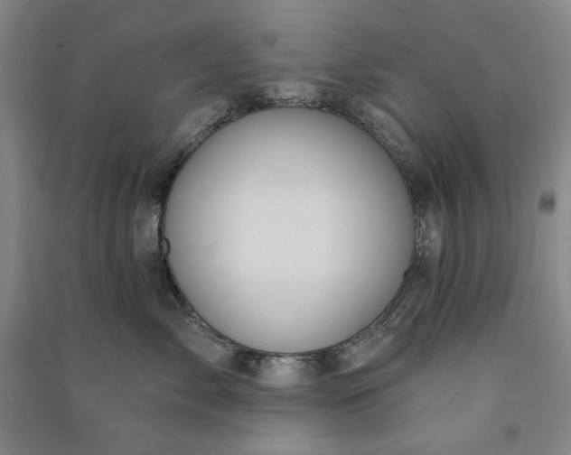 X0000091090717200708201457