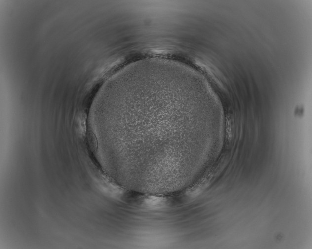 X0000091090718200708201457