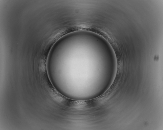 X0000091090719200708201457