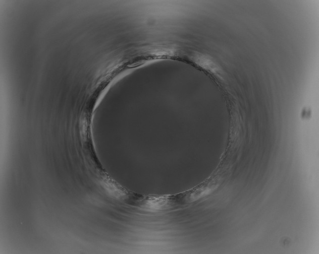 X0000091090720200708201457