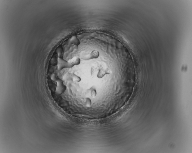 X0000091090721200708201456