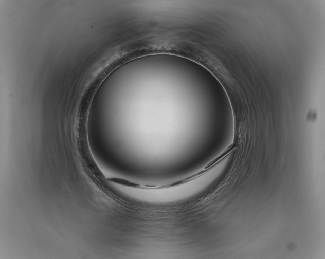 X0000091090722200708201456