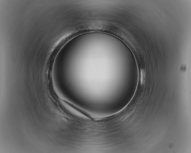 X0000091090723200708201456