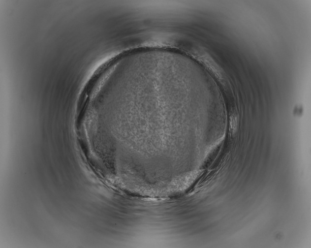 X0000091090724200708201456