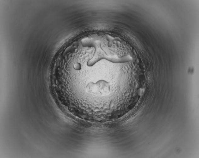 X0000091090725200708201456