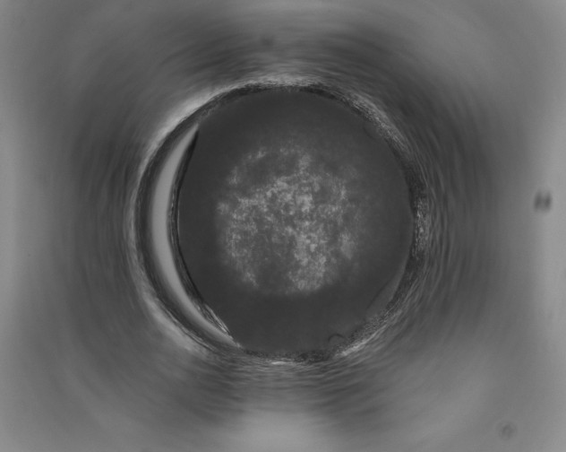 X0000091090726200708201456