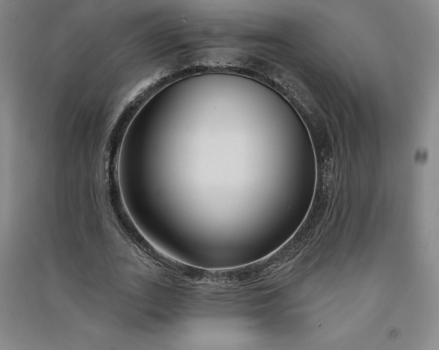 X0000091090727200708201456