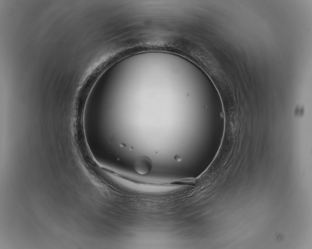 X0000091090728200708201456