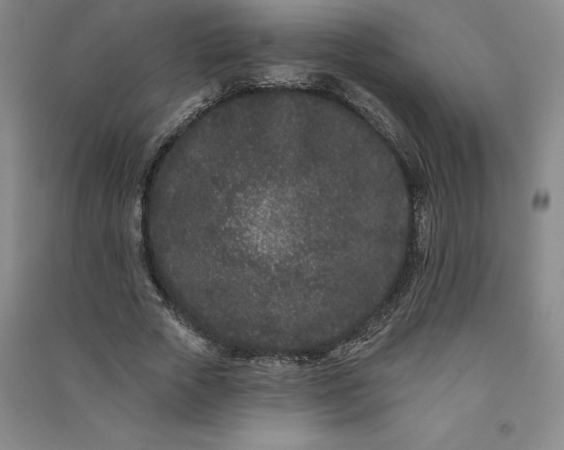 X0000091090729200708201456