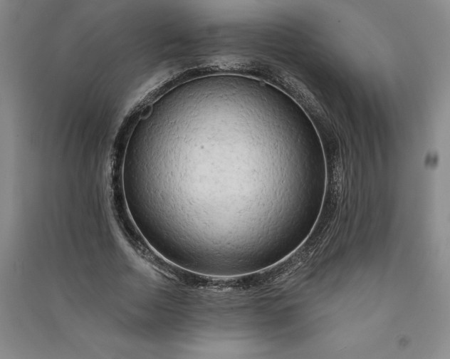 X0000091090730200708201457