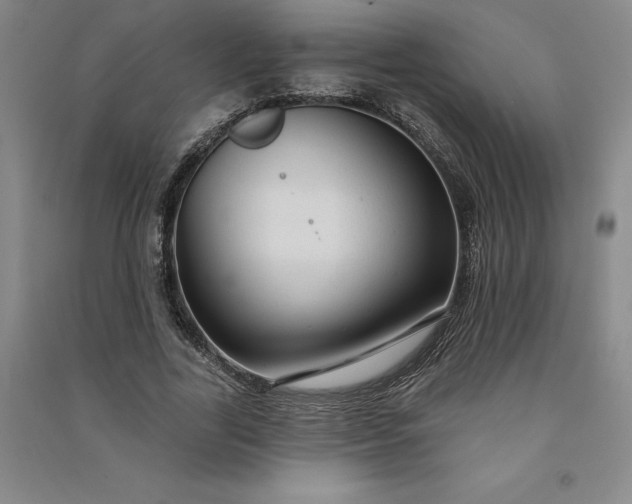 X0000091090731200708201457