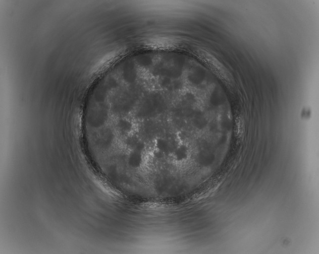 X0000091090733200708201457