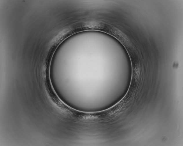 X0000091090734200708201457