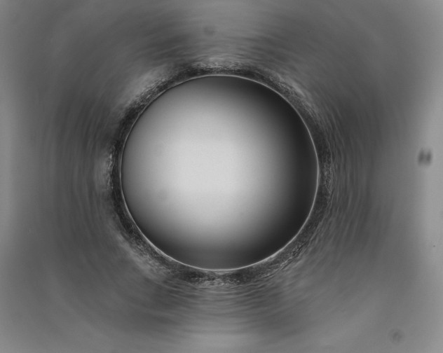 X0000091090735200708201457