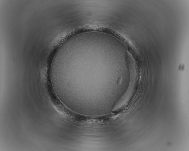 X0000091090736200708201457