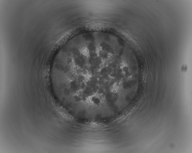 X0000091090737200708201457