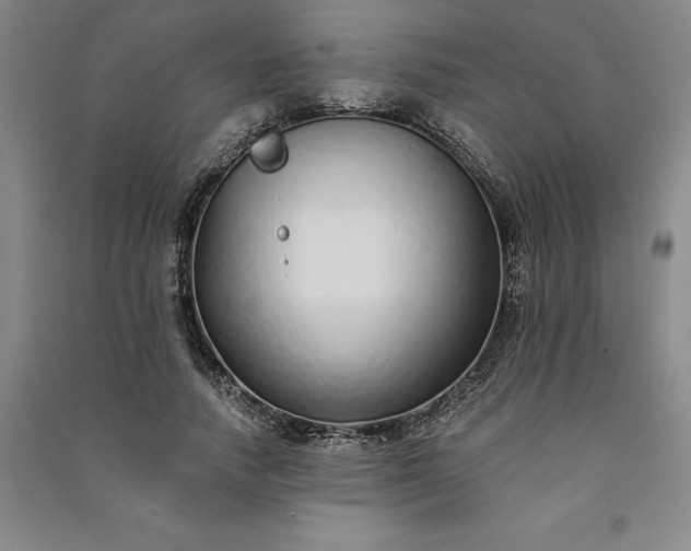 X0000091090738200708201457