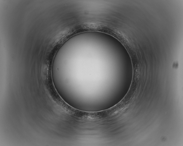 X0000091090739200708201457