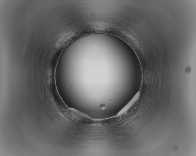 X0000091090740200708201457