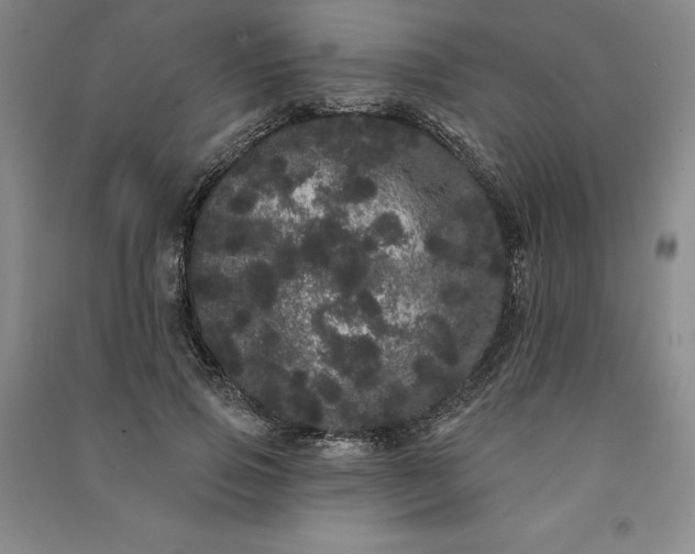 X0000091090741200708201457