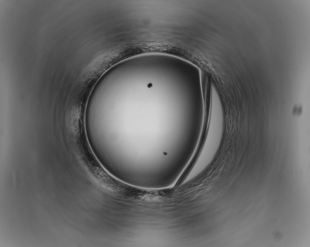 X0000091090742200708201457