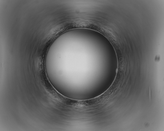 X0000091090743200708201457