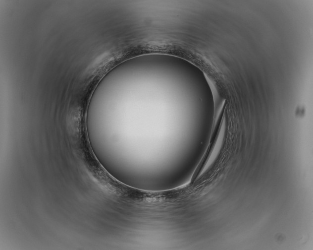 X0000091090744200708201457