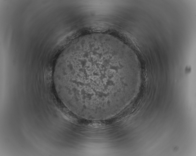 X0000091090745200708201457