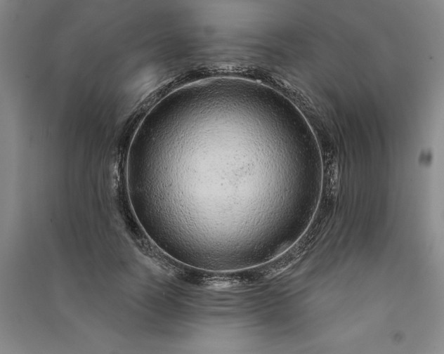 X0000091090746200708201457