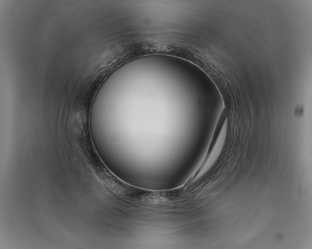 X0000091090747200708201457