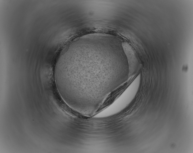 X0000091090748200708201457