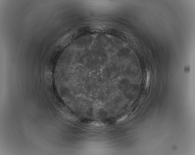 X0000091090749200708201457